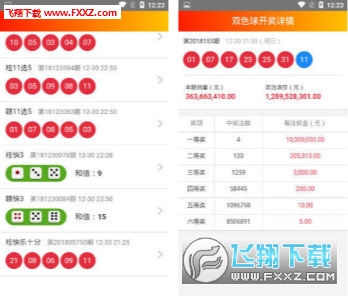 澳门天天开奖结果记录查询，探索彩票世界的秘密与魅力