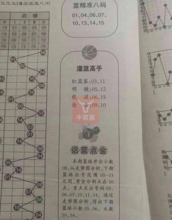 双色球字谜图与阳光探码图的奥秘探索
