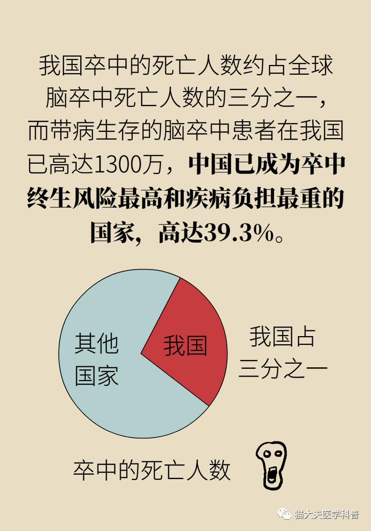价值与重要性（或专家解读）
