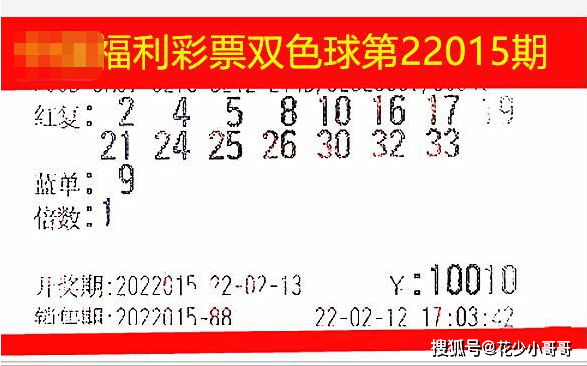 双色球2004年065期开奖结果，幸运与梦想的交汇点