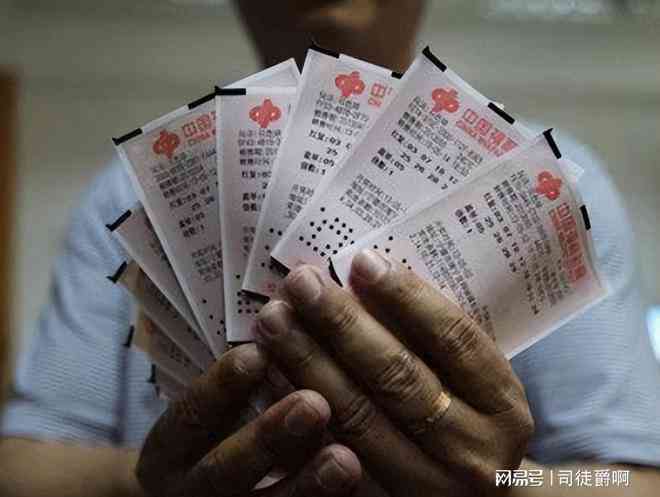 大乐透专家预测与杀彩宝贝，揭秘彩票世界的智慧之选