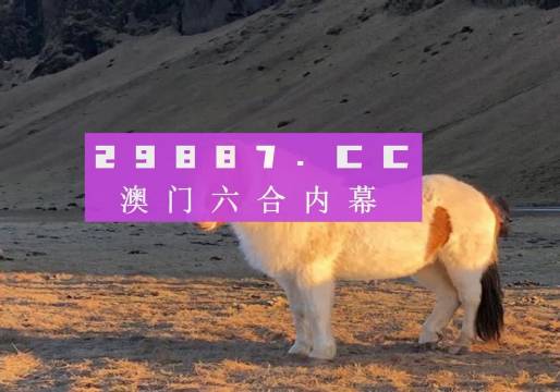 王中王资料大全枓大全正使用心得
