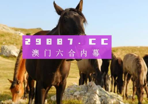 新澳门管家婆免费资料查询