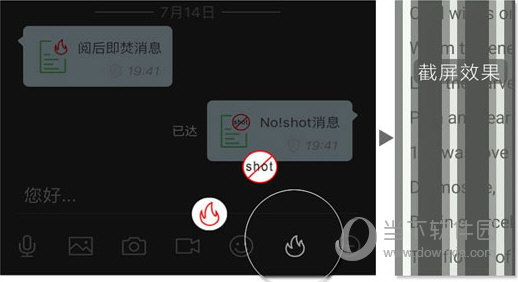 管家婆四不像肖图彩图片