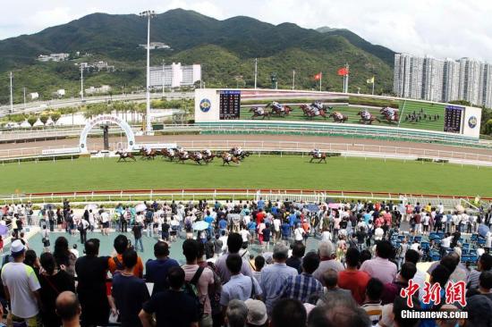 香港赛马会排位表 赛事 资料 主页