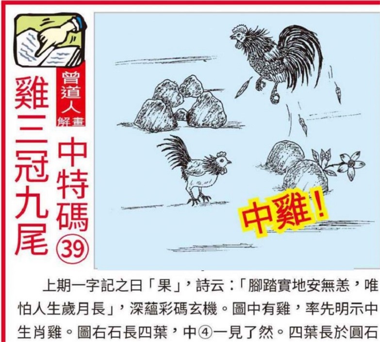 时尚 第55页