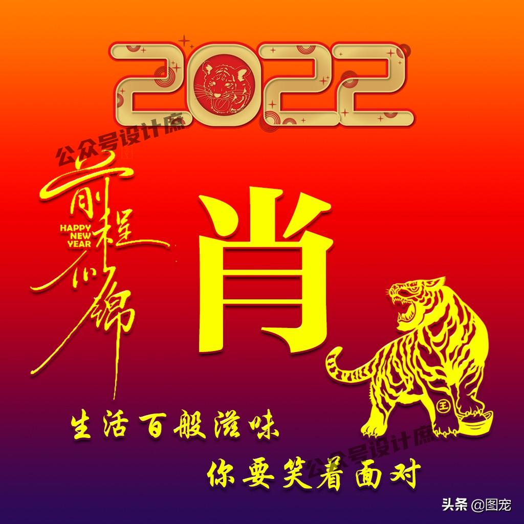 1肖1码准100期