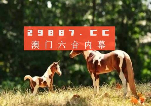 2023澳门资料免费大全网站