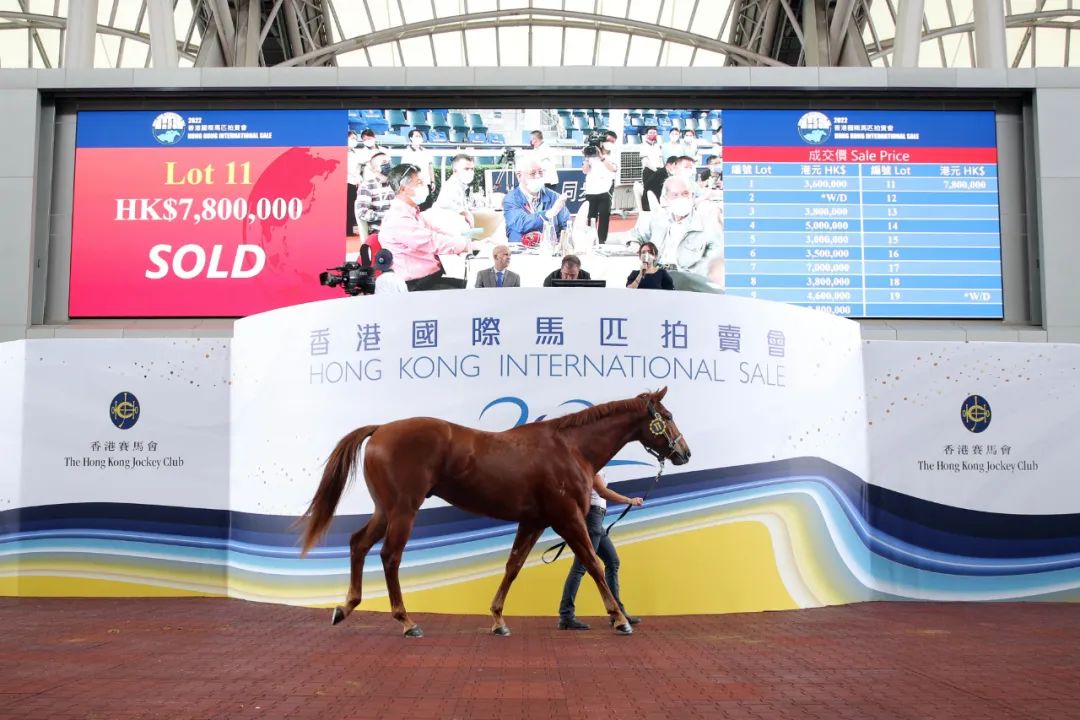 香港马资料2021