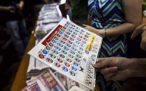 香港买马开奖结果直播今天