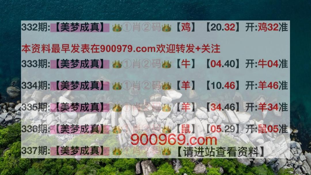 新澳开奖结果资料查询29期新澳门开彩现场