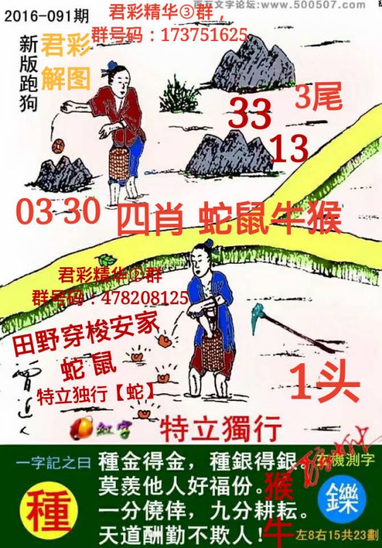 跑狗玄机图怎么样解