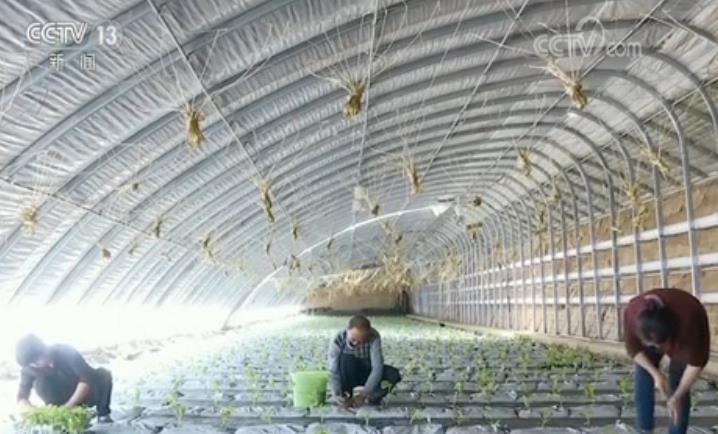 新址246天天好彩图资料