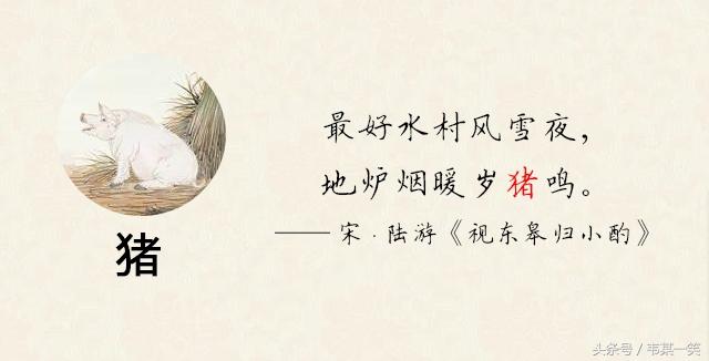 白小姐449999精准一句诗夏天生肖