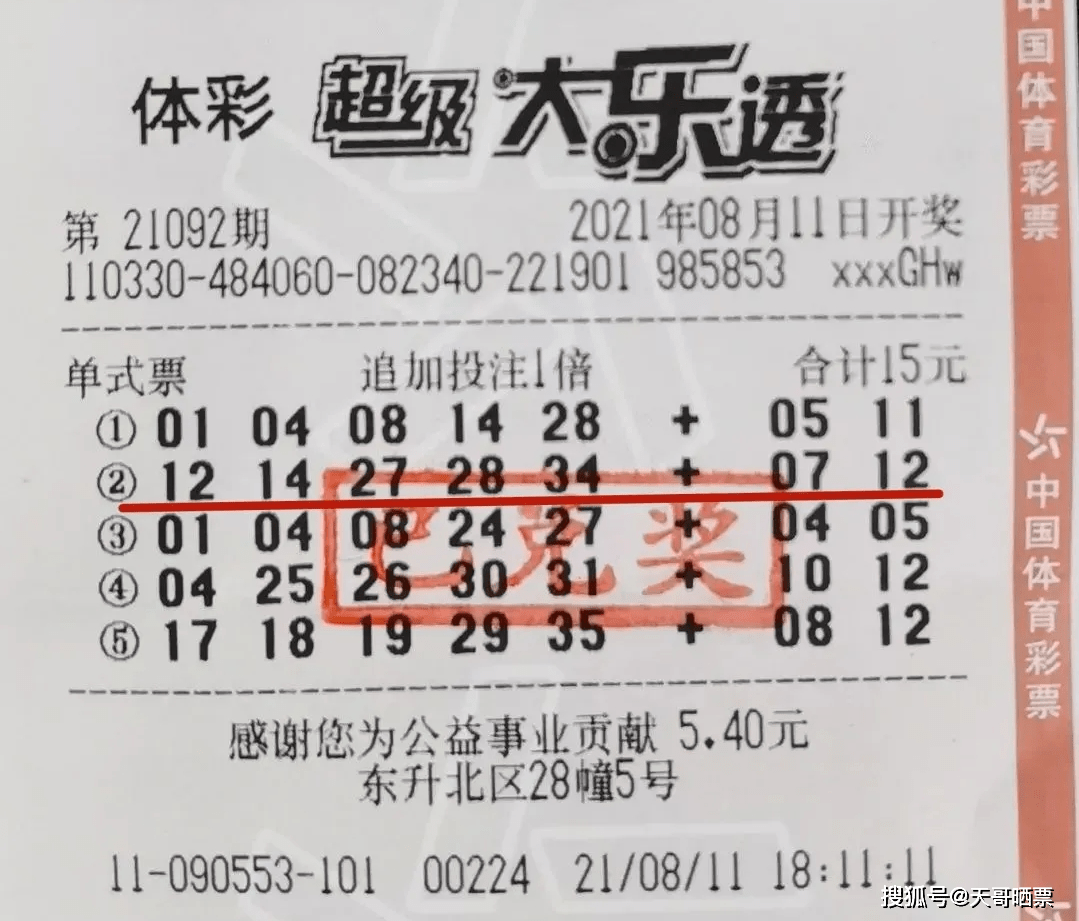 澳门彩票新开奖结果解析，中奖概率与体验感受新澳门开奖结果2020+开奖记录_